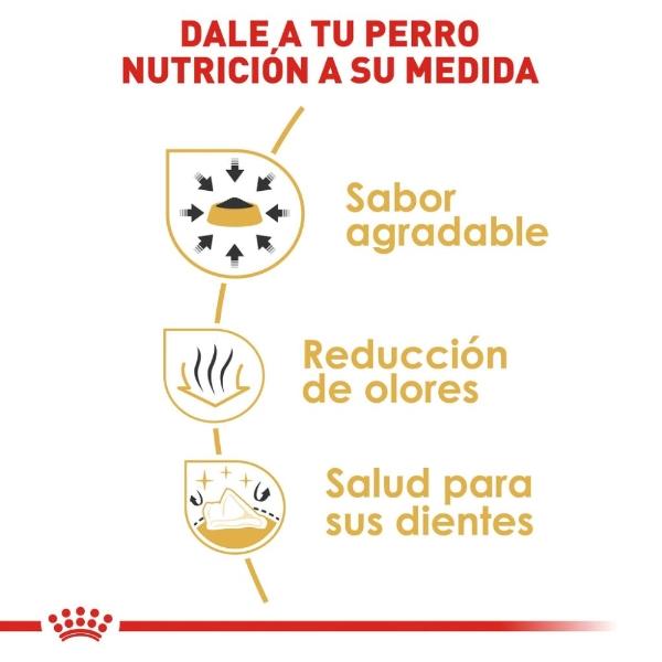 Alimento Croqueta Chihuahua Adulto 1.1Kg Royal Canin