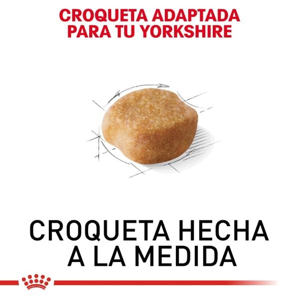Alimento Croqueta Yorkshire Adulto 1.1Kg Royal Canin