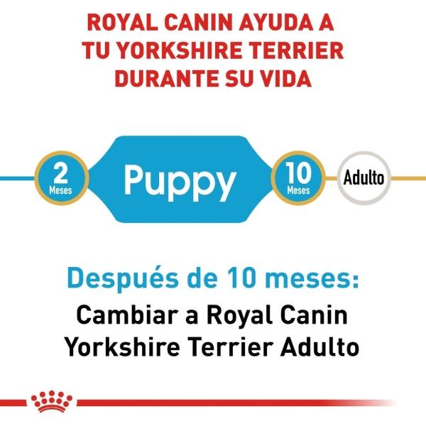 Alimento Croqueta Perro Yorkshire Cachorro 1.1Kg Royal Canin
