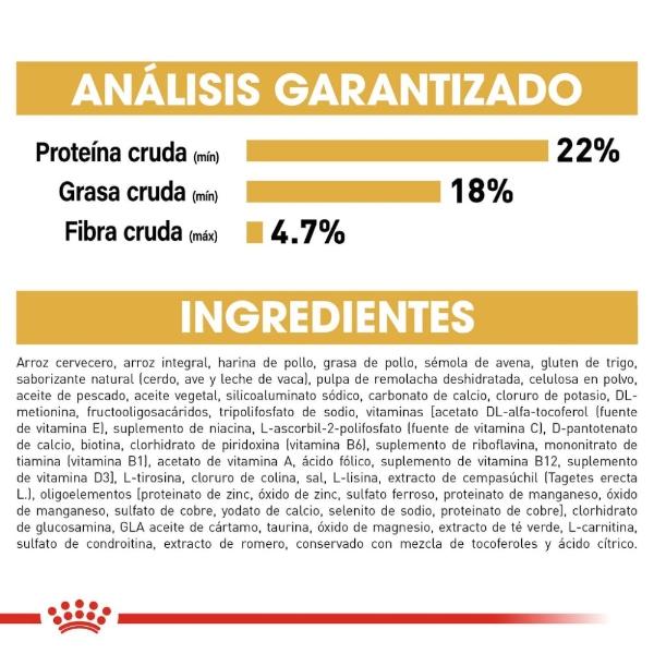 Alimento Croqueta Shih-Tzu Adulto 1.1Kg Royal Canin