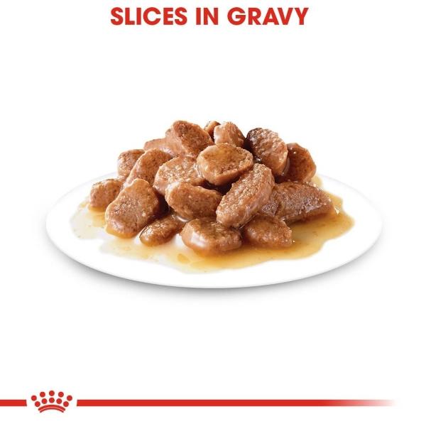 Alimento Húmedo Gato Cachorro Slices in Gravy 85g Royal Canin