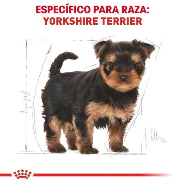 Alimento Croqueta Perro Yorkshire Cachorro 1.1Kg Royal Canin
