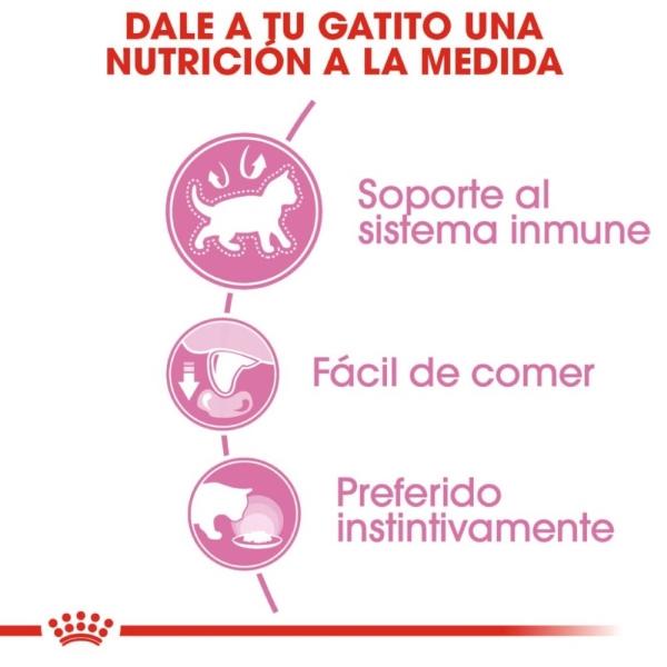 Alimento Húmedo Gato Cachorro Slices in Gravy 85g Royal Canin