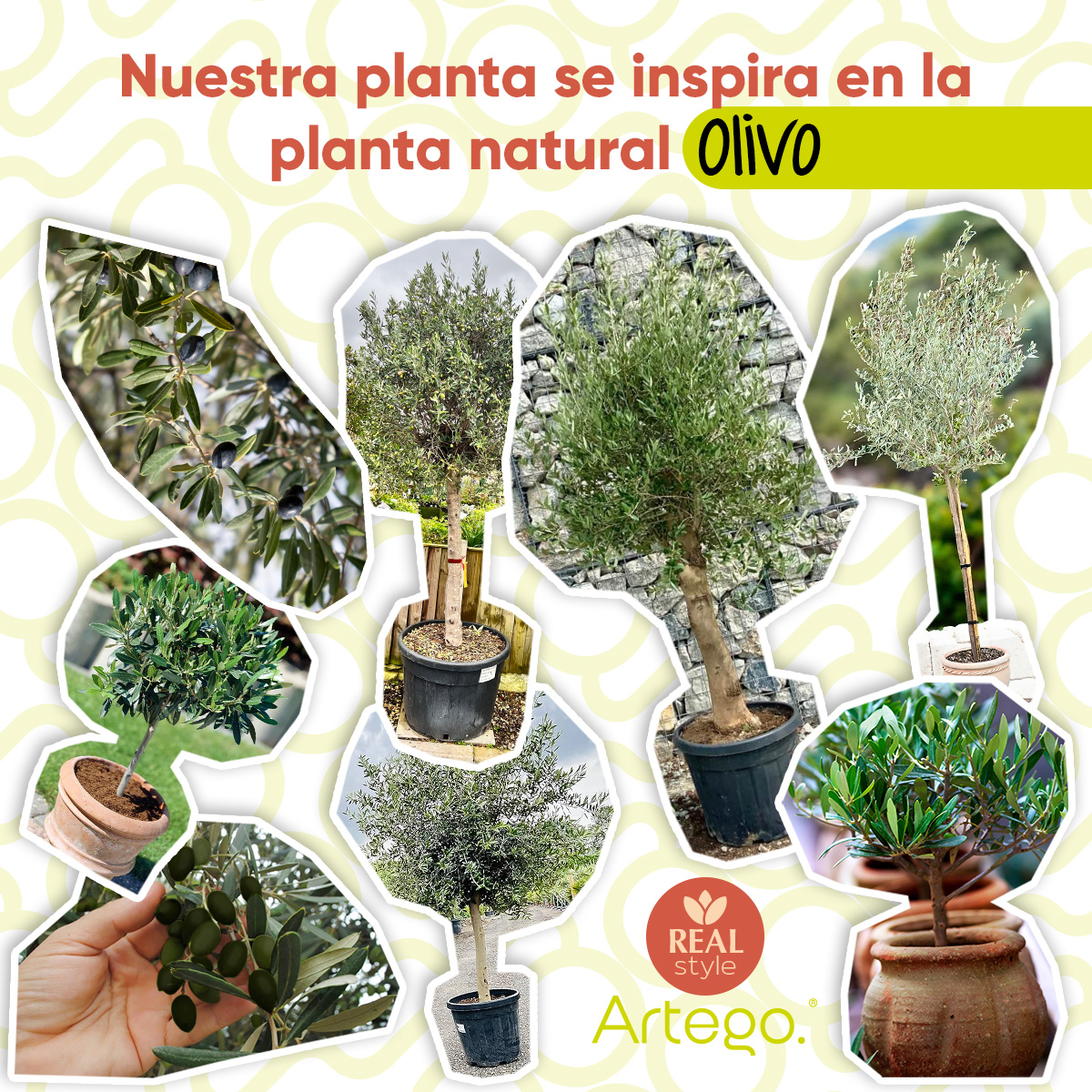 Planta artificial decorativa moderna con maceta Olivo grande de 180cm de alto Artego para hogar sala comercio oficina.