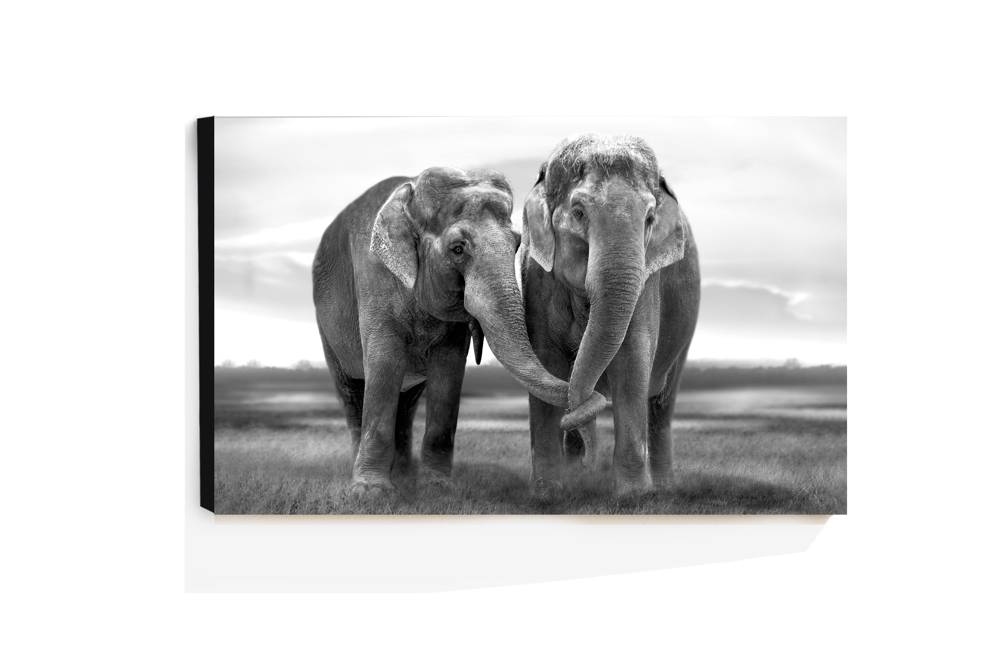 Cuadro Decorativo Acrílico Elefantes 70x120  