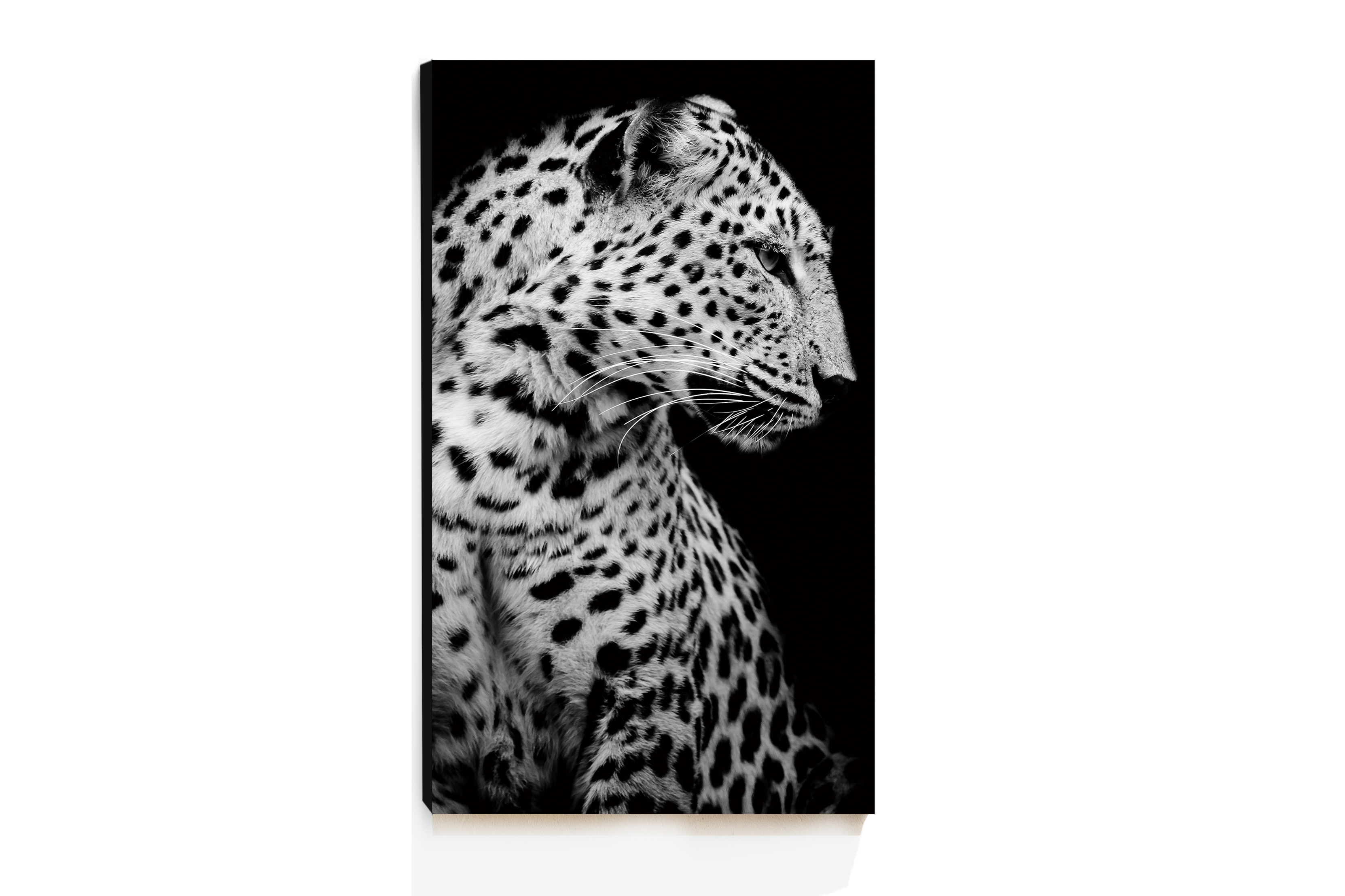 Cuadro Decorativo Acrílico Jaguar Blanco y Negro 70x120  