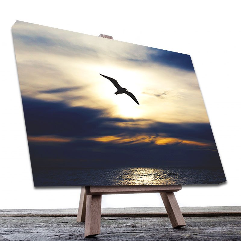 Cuadro Decorativo Canvas Gaviota en el Atardecer 120 X 60 cm.
