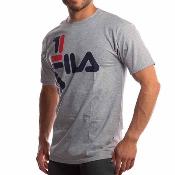 Playera Fila Hombre Anthony Tee Gris LM173J99289