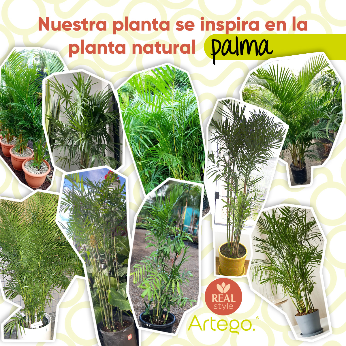 Planta artificial decorativa moderna con maceta Palmera Hawái grande de 160cm de alto Artego para hogar sala comercio oficina.