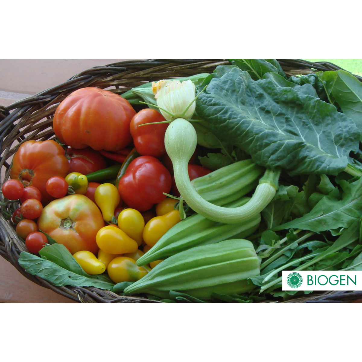 Fertilizante Orgánico Biogen 1 Litro.