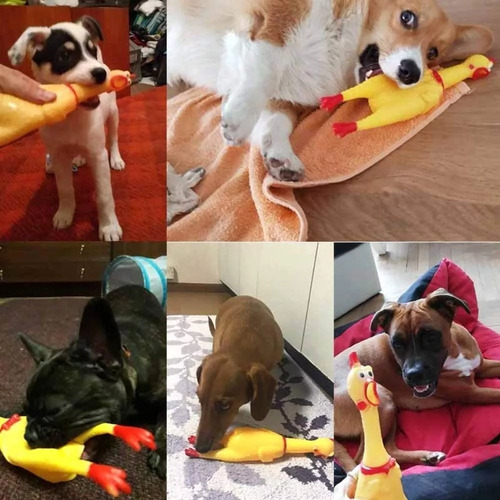 Juguetes Para Perros Hiperactivos 10 Unidades.