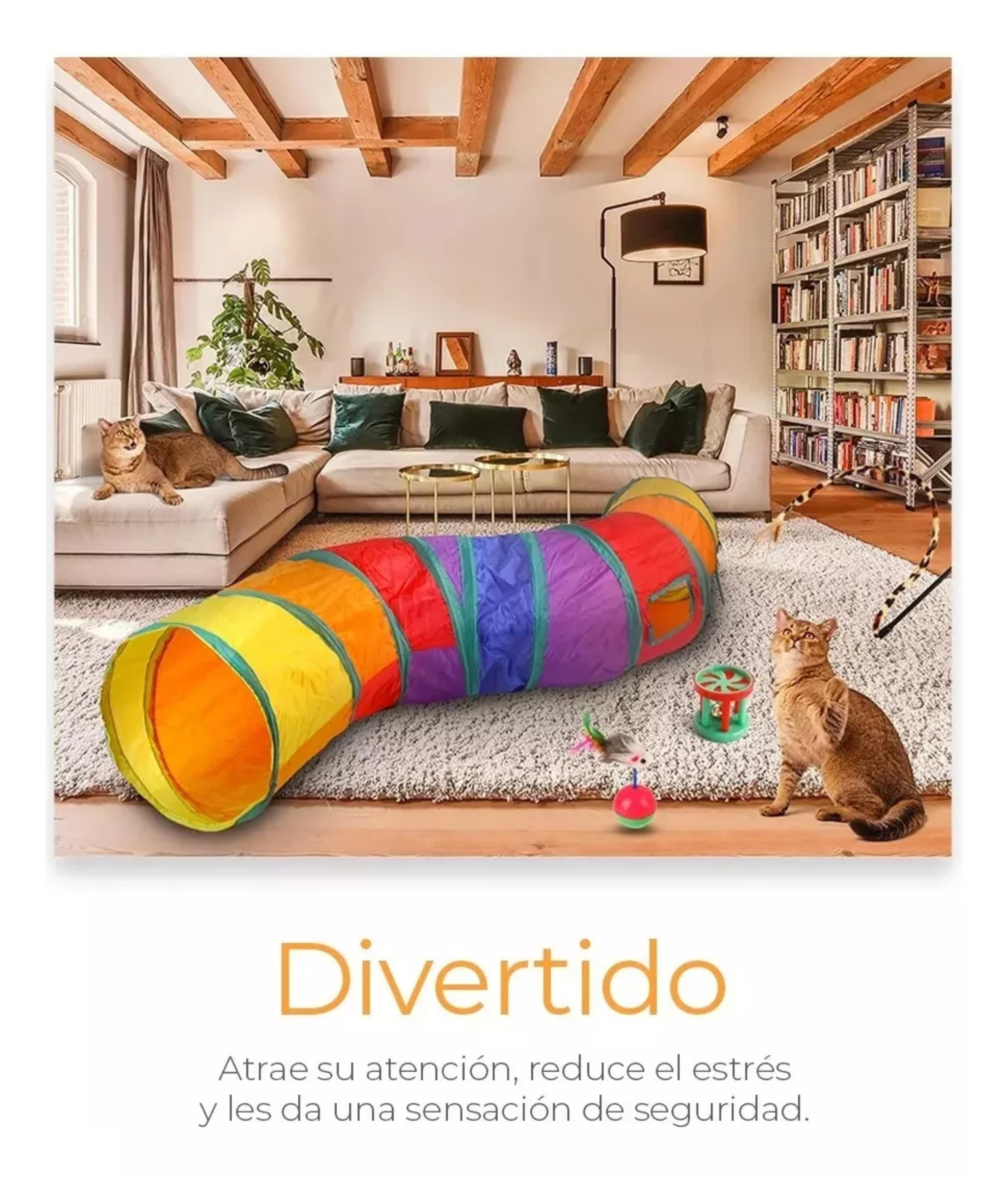 Raga Juguetes Para Gato 20 Piezas multicolor.