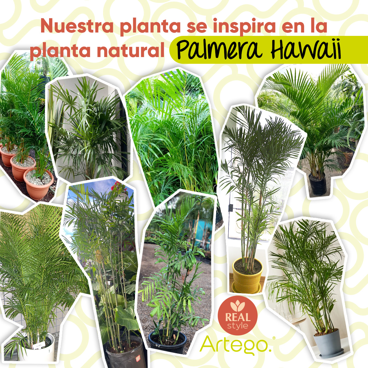 Planta artificial decorativa moderna con maceta Palmera Hawaii de 130cm de alto Artego para hogar sala comercio oficina.