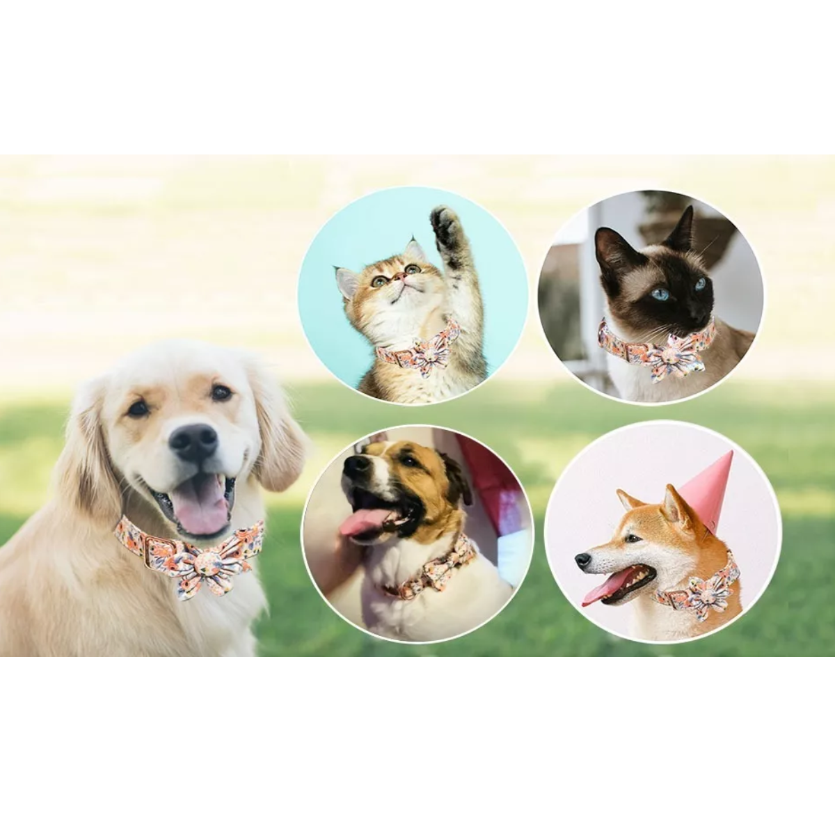 Collar Para Mascotas De Algodón Puro Transpirable Para Perro Verde Talla S