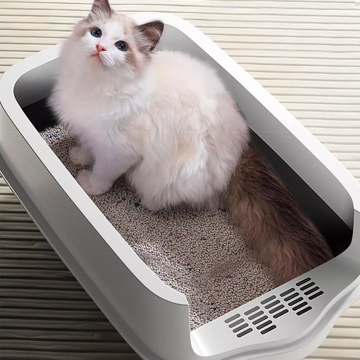 Arenero Sanitario Cerrado Para Gato Con Pala Puerta Abatible Naranja