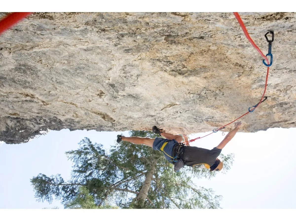 Black Diamond Dispositivo de Rappel y Belay ATC-Alpine - Guía, Verde (Envy Green), OS