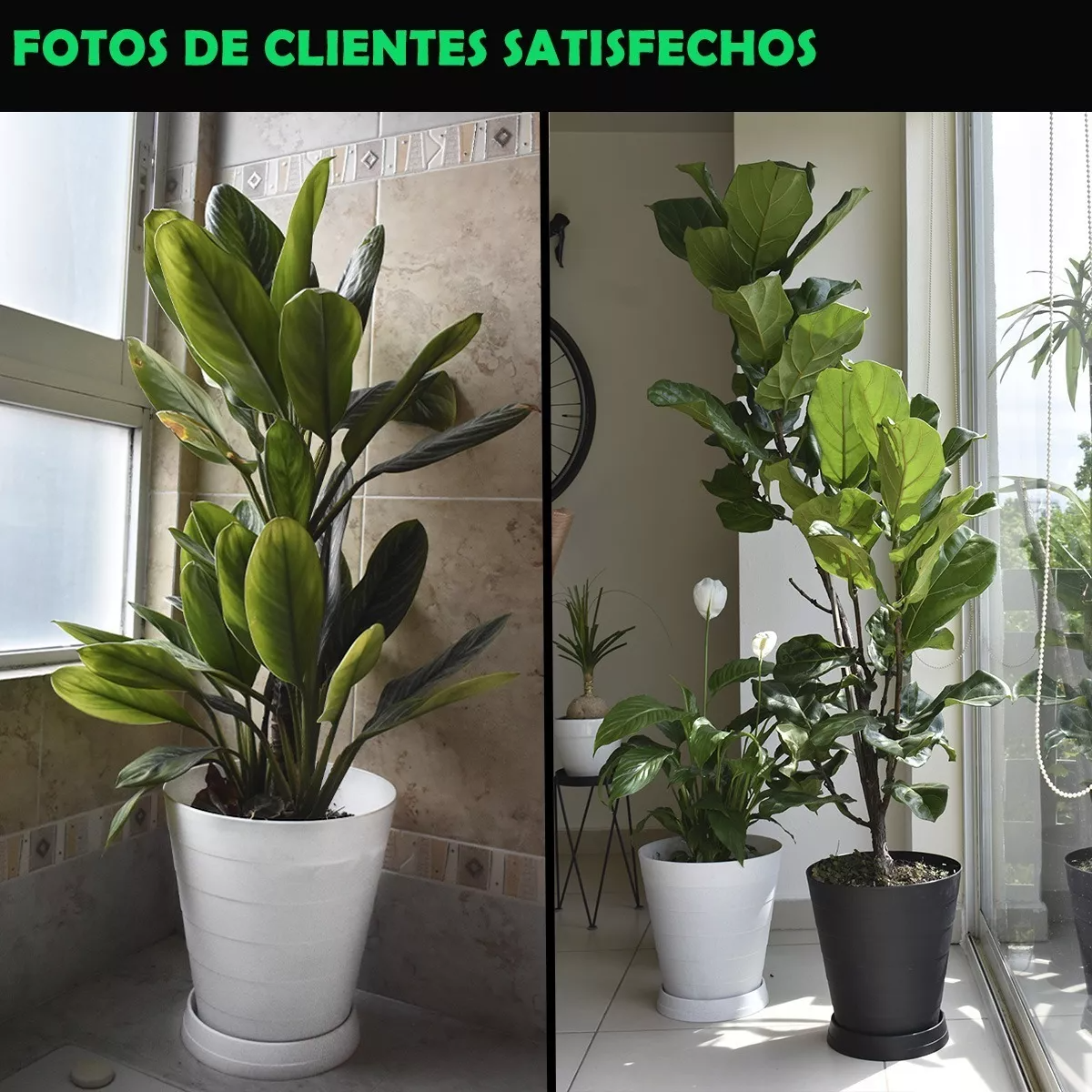 2 Macetas Grande Moderna Minimalista Interior Exterior Plato