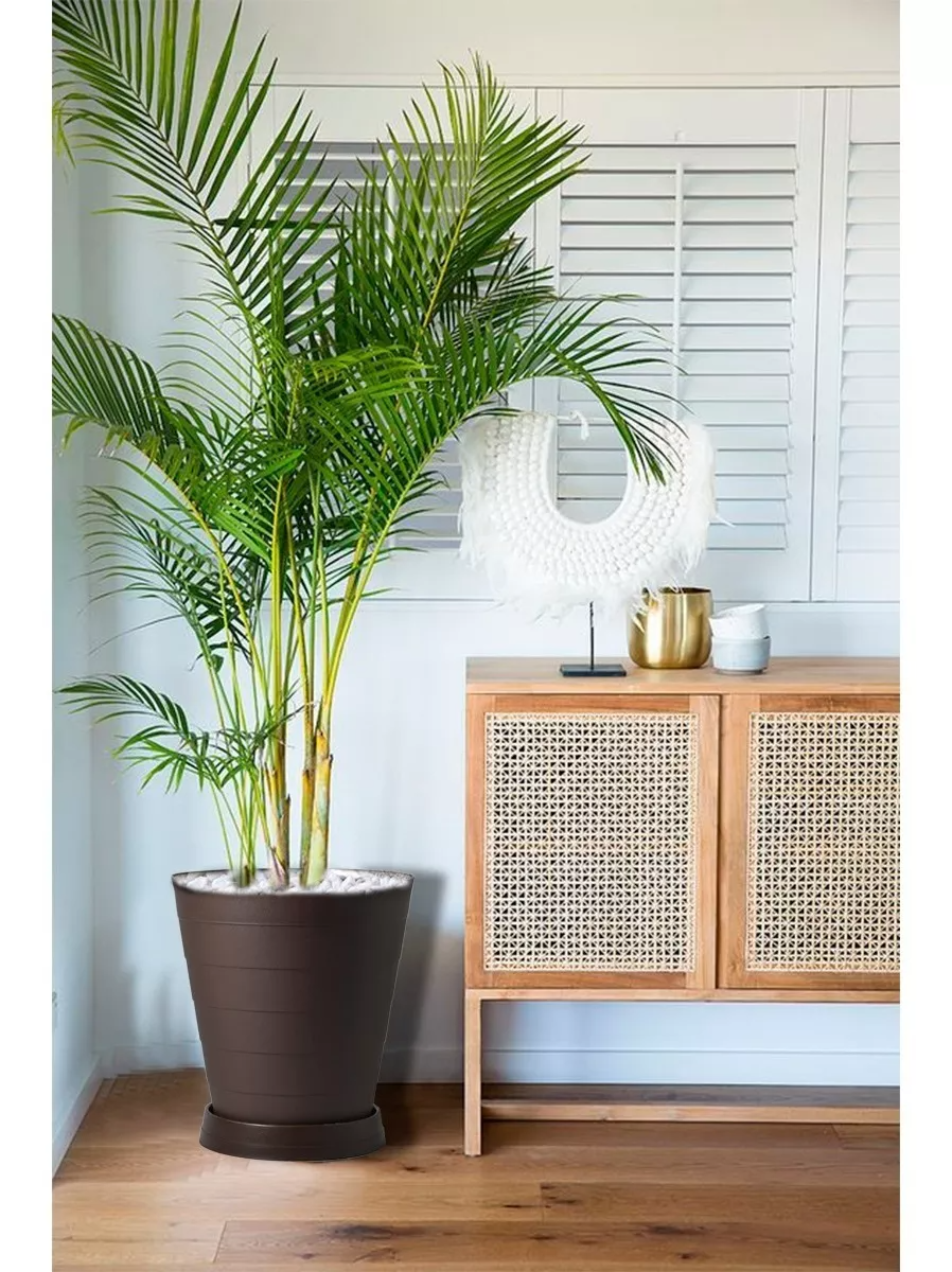 2 Macetas Grande Moderna Minimalista Interior Exterior Plato