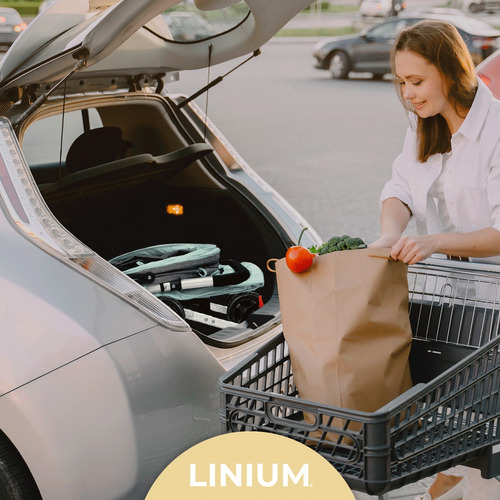 Carriola Carreola De Bastón Linium Plegable Bebé Premium Color Agua