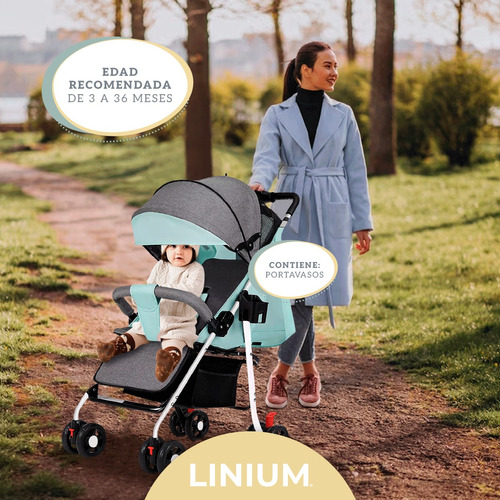 Carriola Carreola De Bastón Linium Plegable Bebé Premium Color Agua
