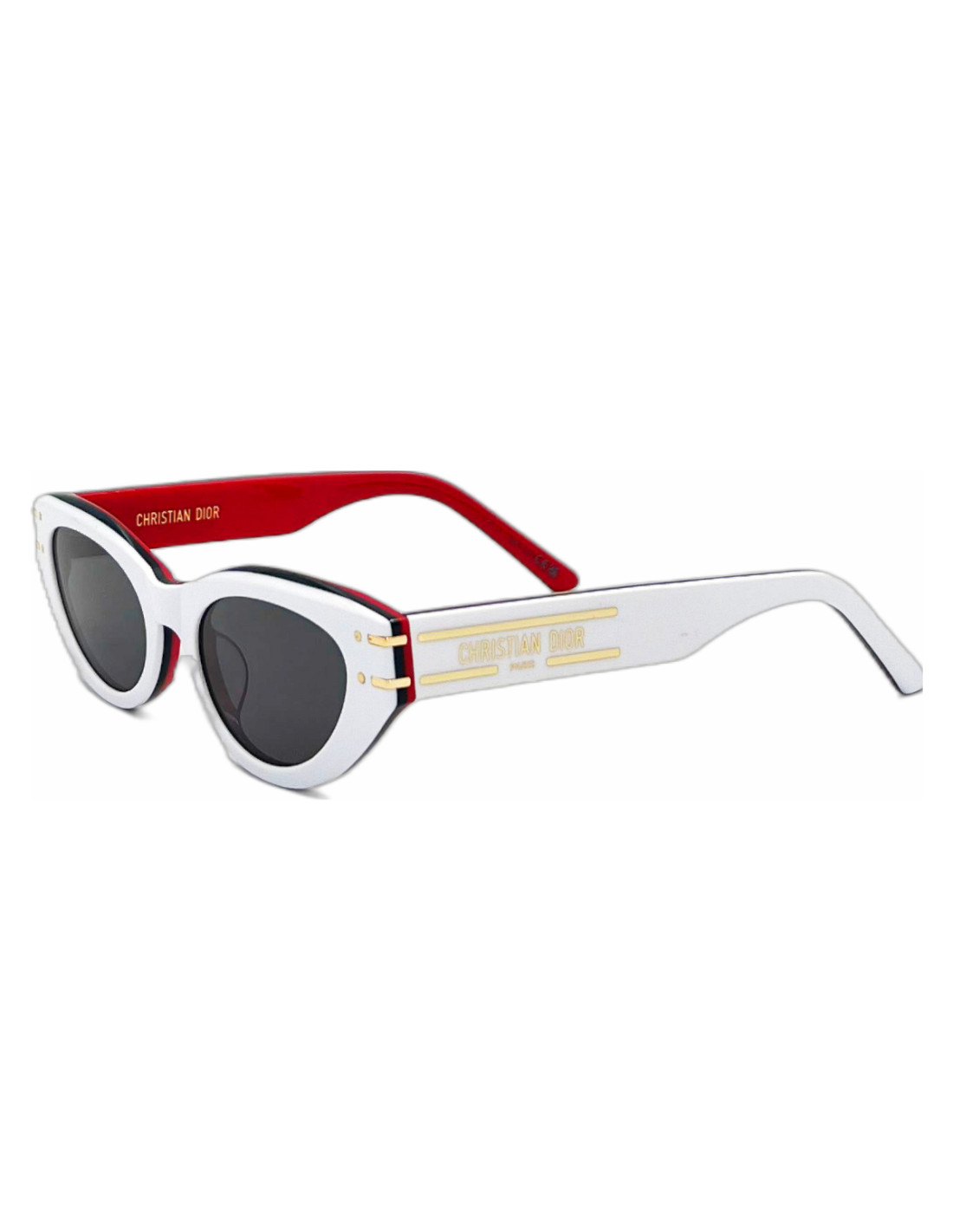 Lentes de sol Dior SIGNATURE B5I 50B0 Eye Cat
