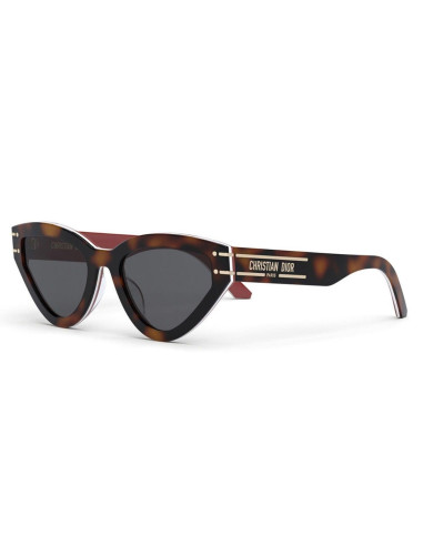 Lentes de sol Dior Signature B2U 26B0 Eye Cat