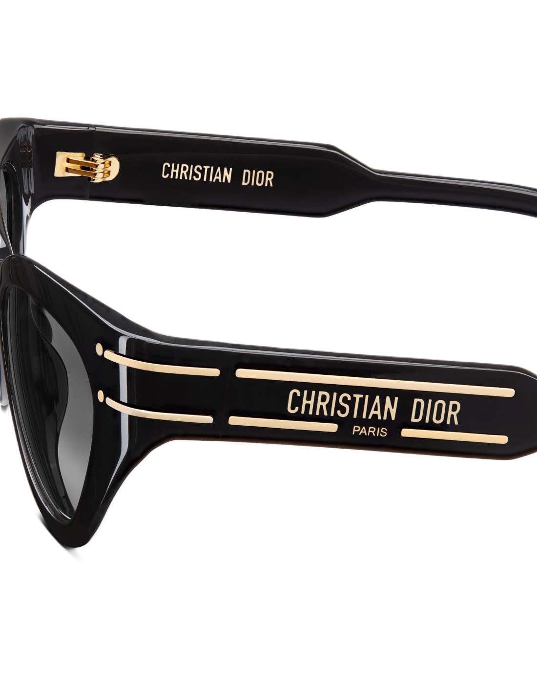 Lentes de sol Dior Signature B7I 10A0 Eye Cat
