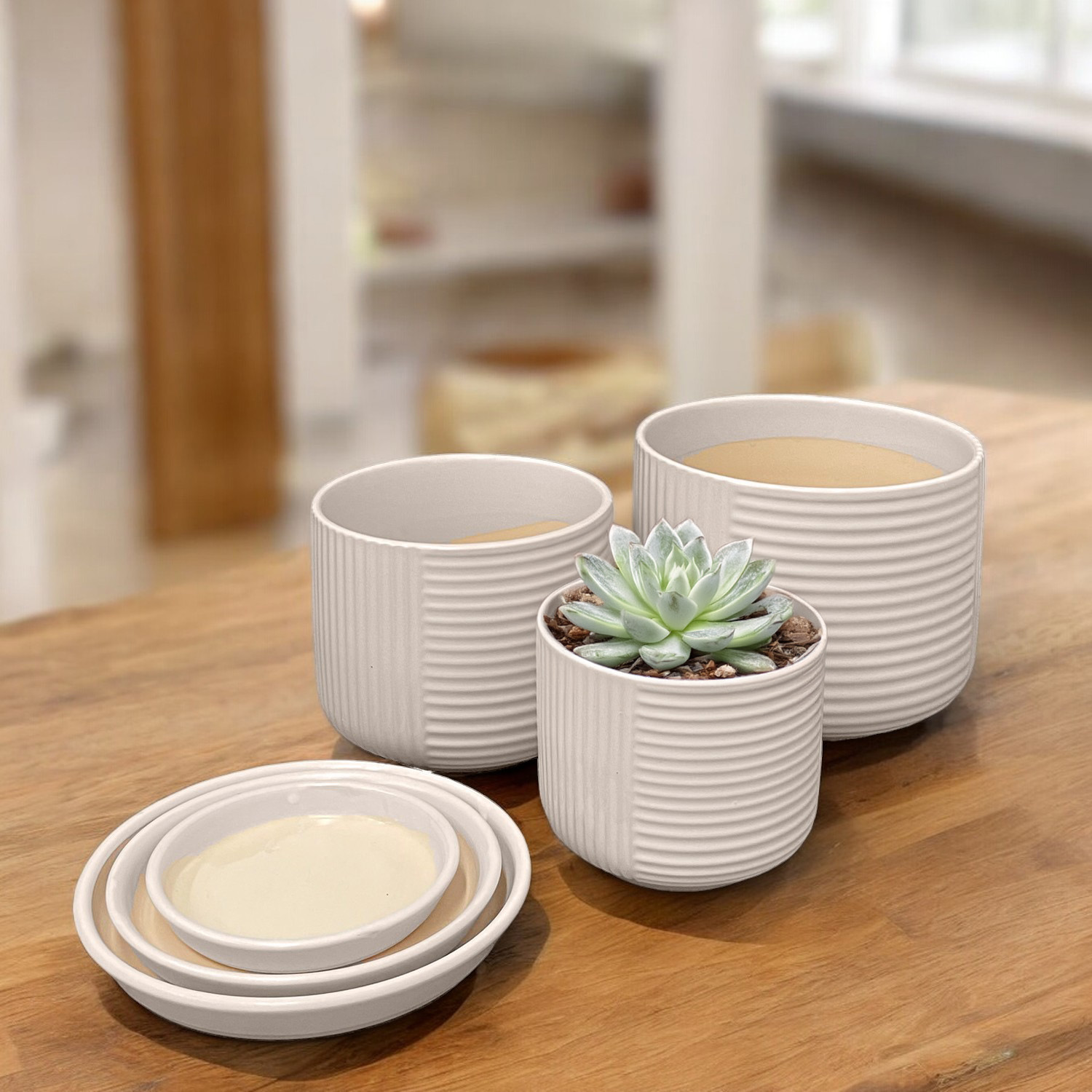 Ilios Innova | Kit de Macetas Decorativas Pequeñas Gris- Elegancia y Calidad