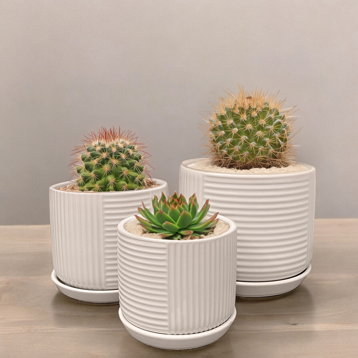Ilios Innova | Kit de Macetas Decorativas Pequeñas Gris- Elegancia y Calidad