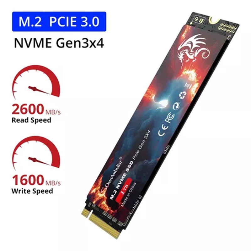 Memoria SSD M.2 de 256Gb Pcle Gen 3x4 - Somnambulist