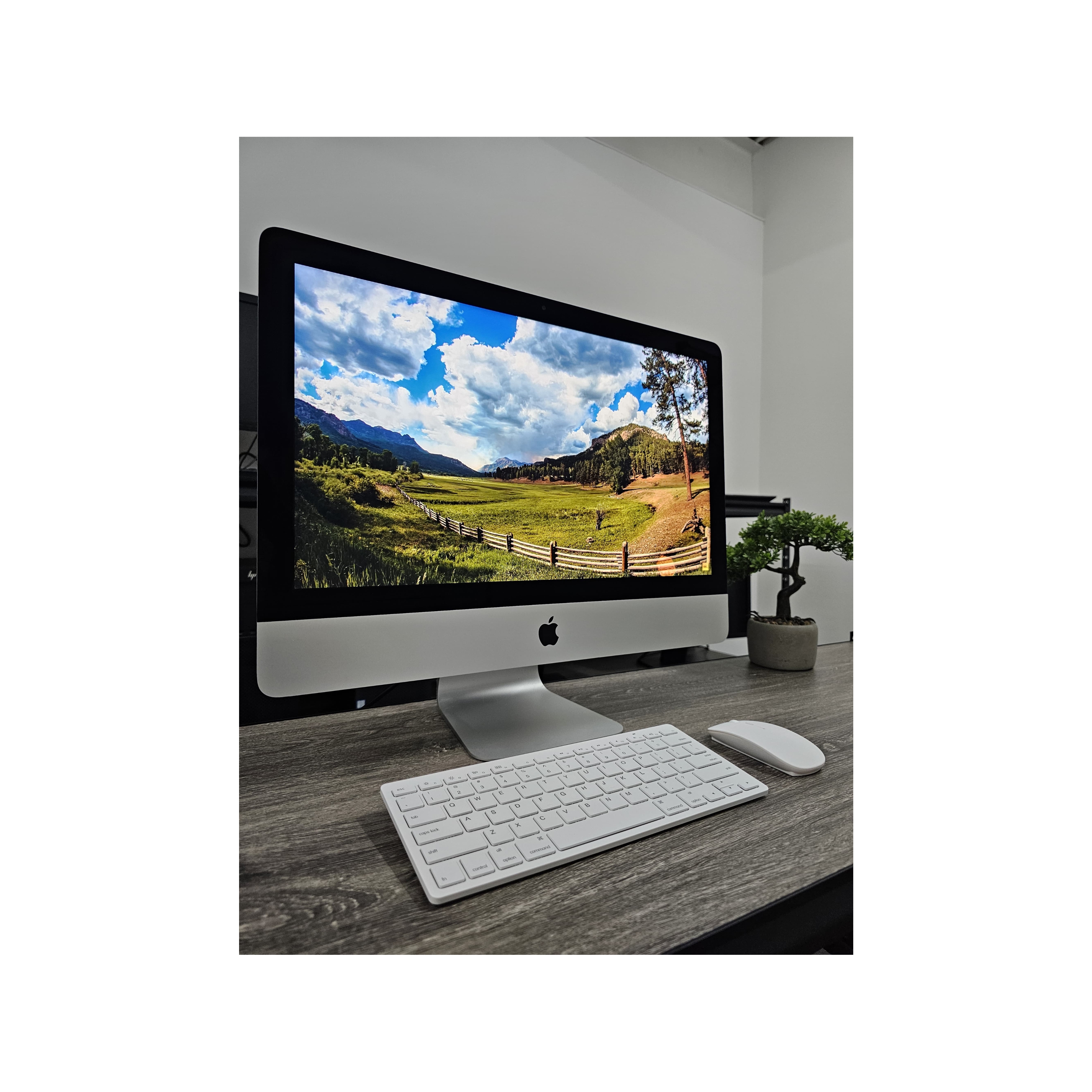 iMac 21.5" (2019) Intel Core I5 8va gen 16gb ram 500gb ssd T.V. 4gb 
