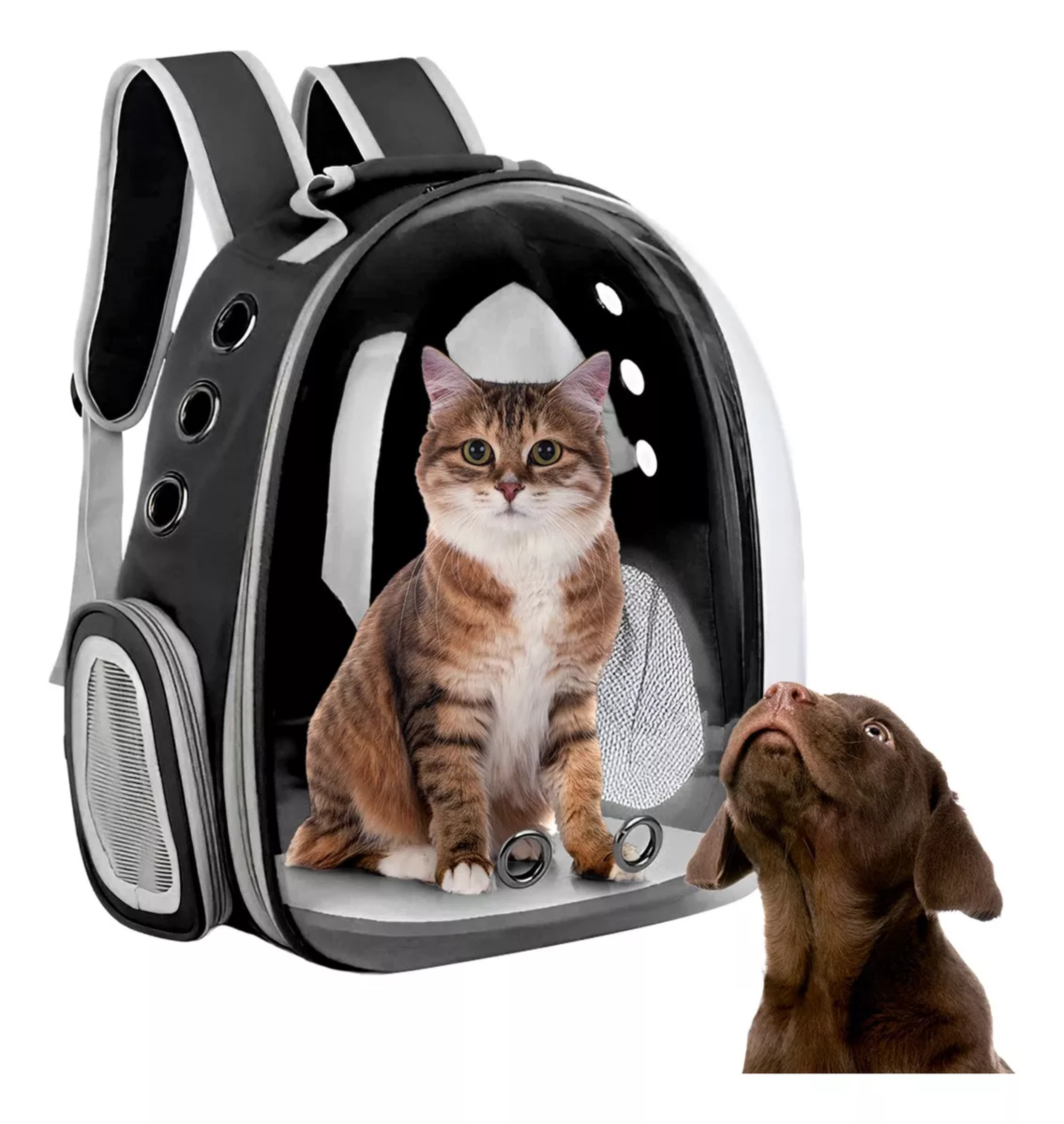 Mochila Transportadora Para Perros/gatos Expandible Portátil