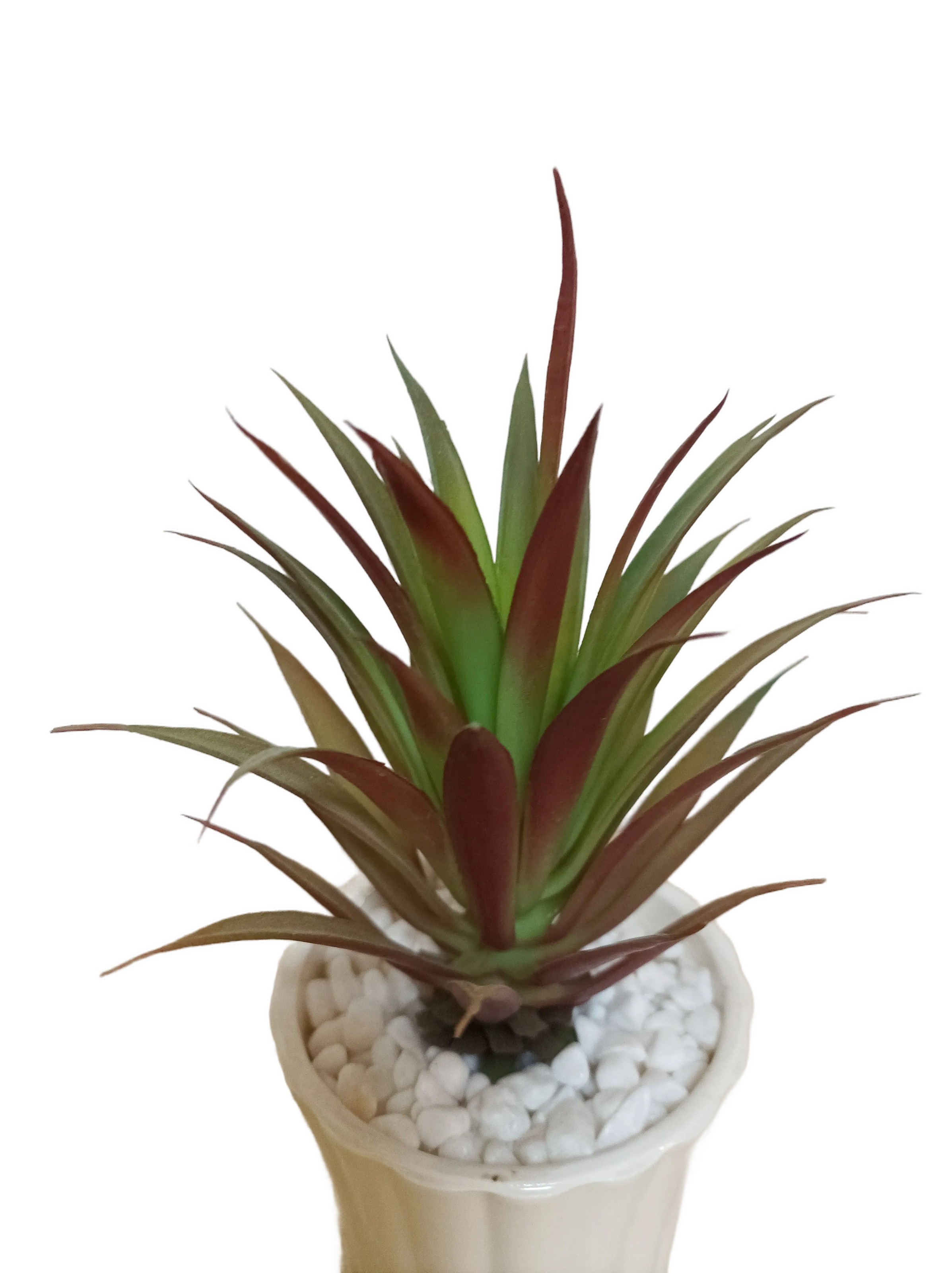 Planta Decorativa Agave Verde con Maceta de Cerámica Blanca