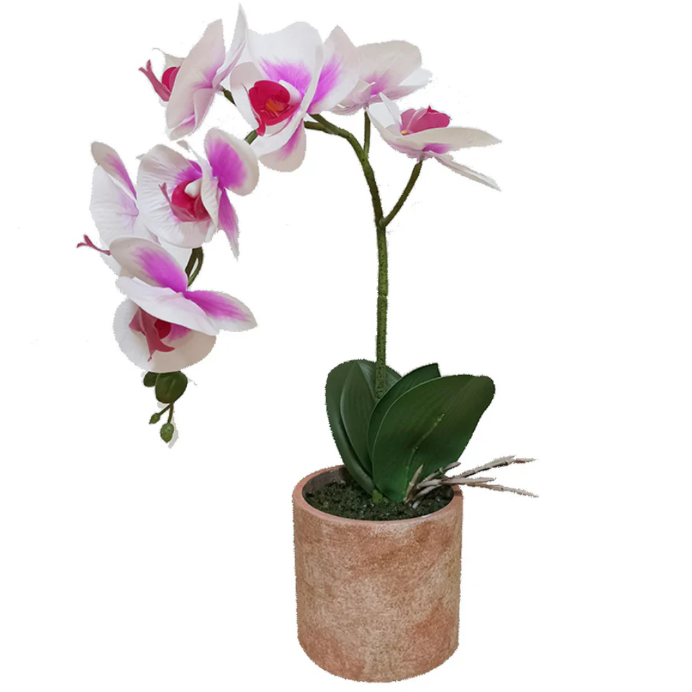 Planta Decorativa Orquídea Morada con Maceta Color Café