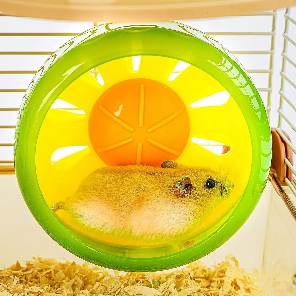 Jaulas Para Hamster Bebedero Rueda Comedero Amarillo