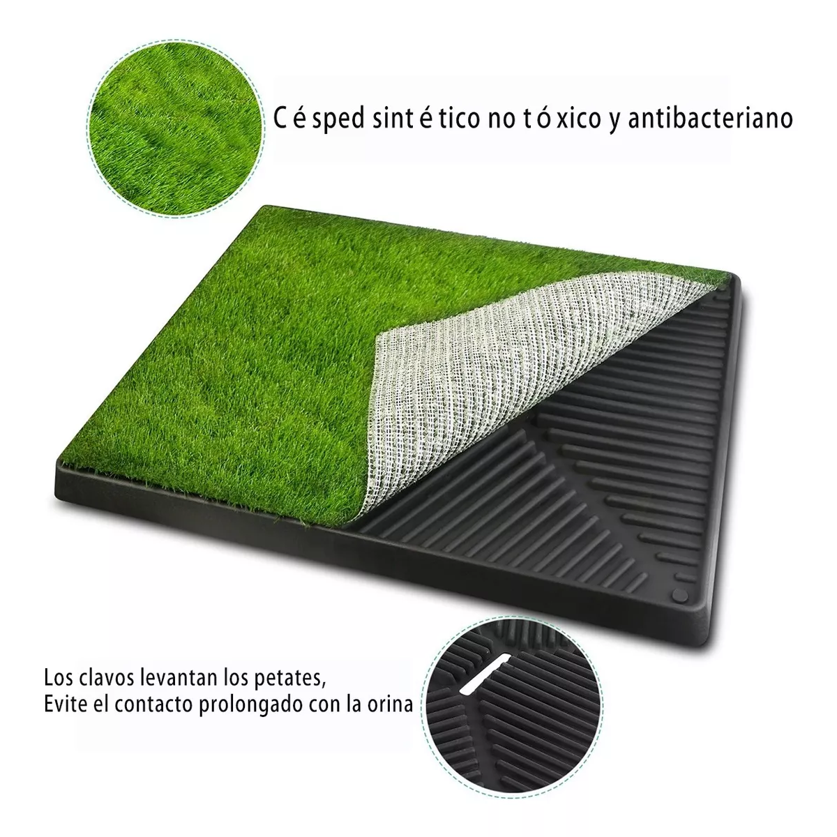 Entrenador Pasto Sintético Bandeja Perro