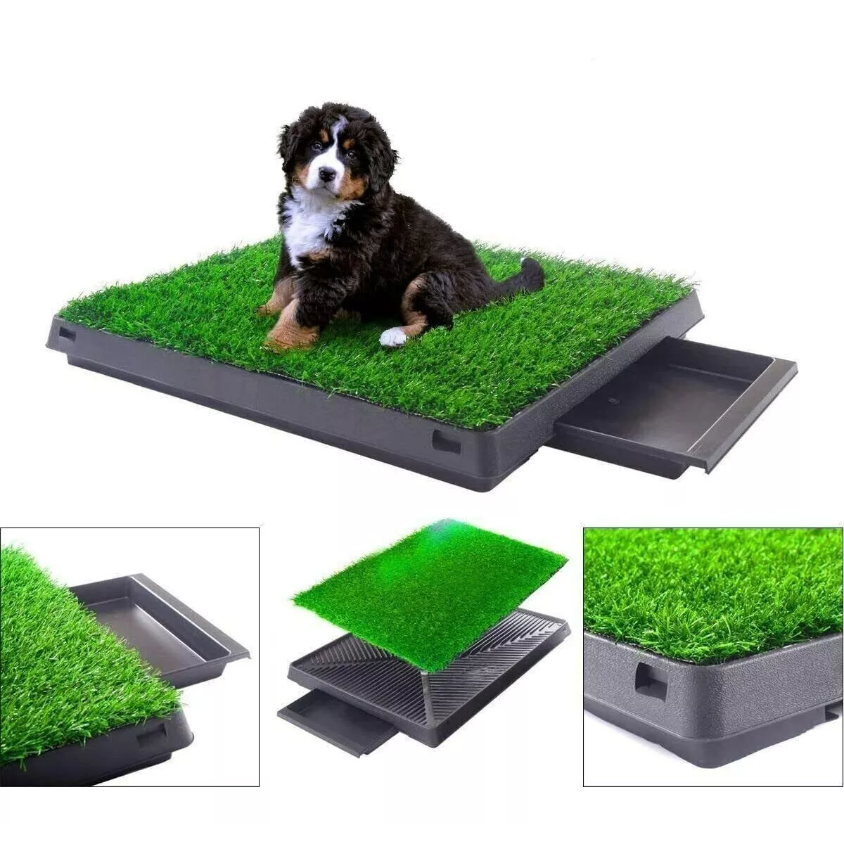 Entrenador Pasto Sintético Bandeja Perro