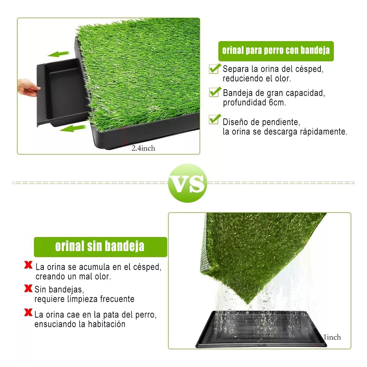 Entrenador Pasto Sintético Bandeja Perro