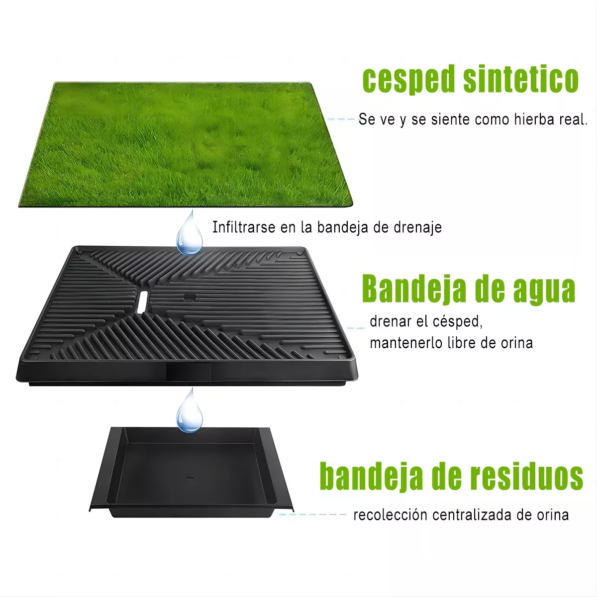 Entrenador Pasto Sintético Bandeja Perro