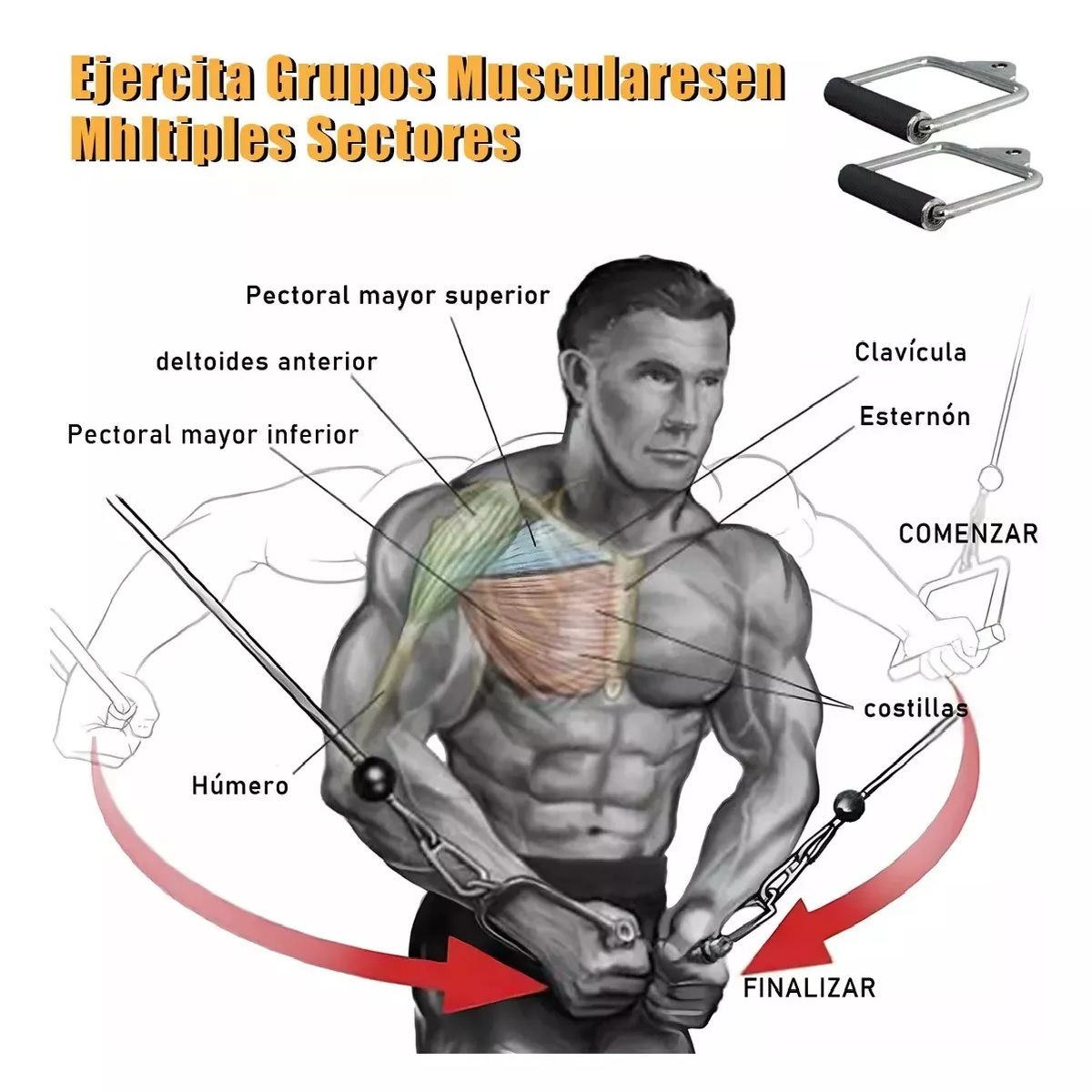 Maneral Agarradera Jaladera Tipo D Para Polea Remo Gym 2pcs
