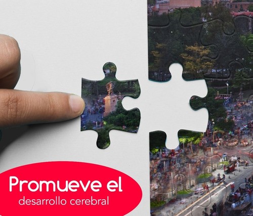 Rompecabezas 1000 Pz Bellas Artes Multicolor Calidad Premium