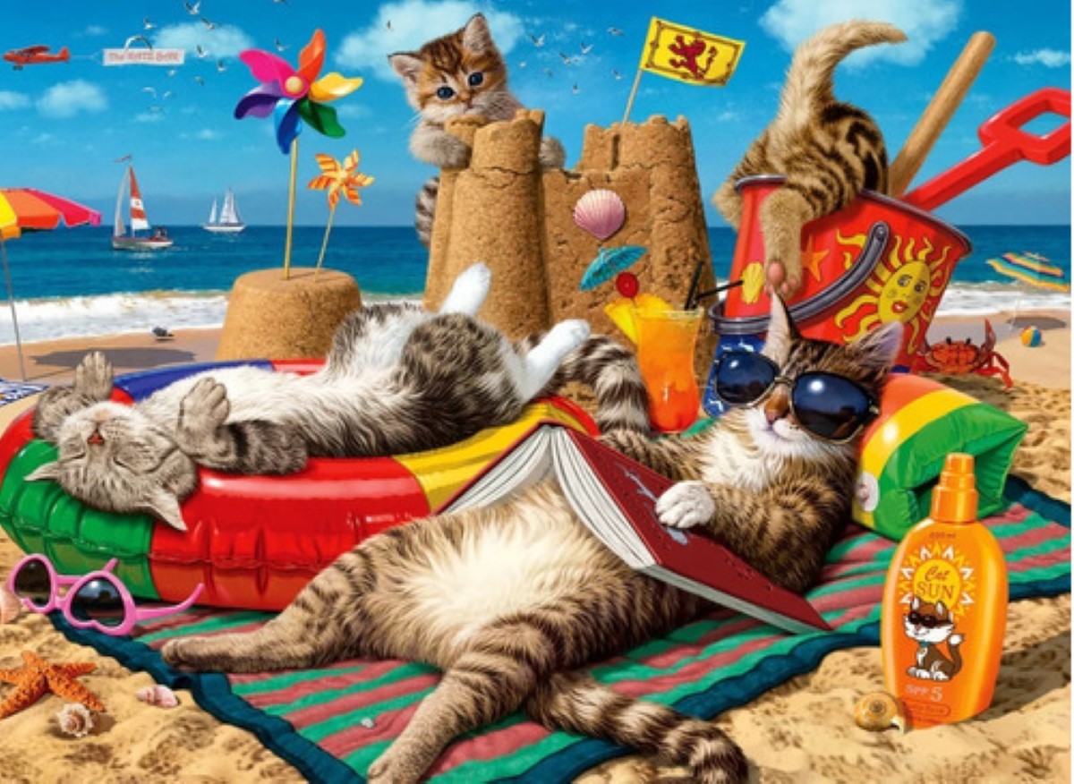 Rompecabezas 1000 Piezas 70x50cm Los Gatos Están En La Playa