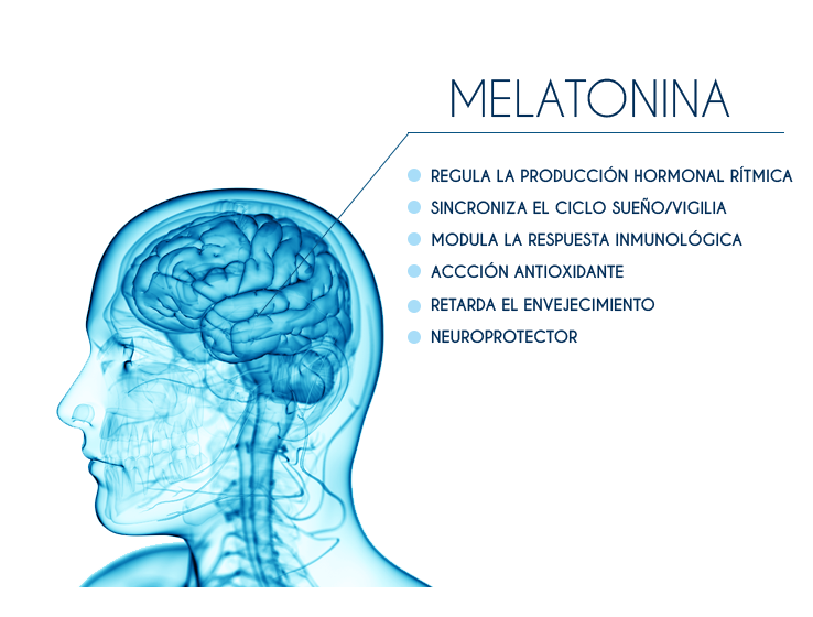 Biovea Melatonina gomitas 10mg (mezcla de bayas) 120 gomitas