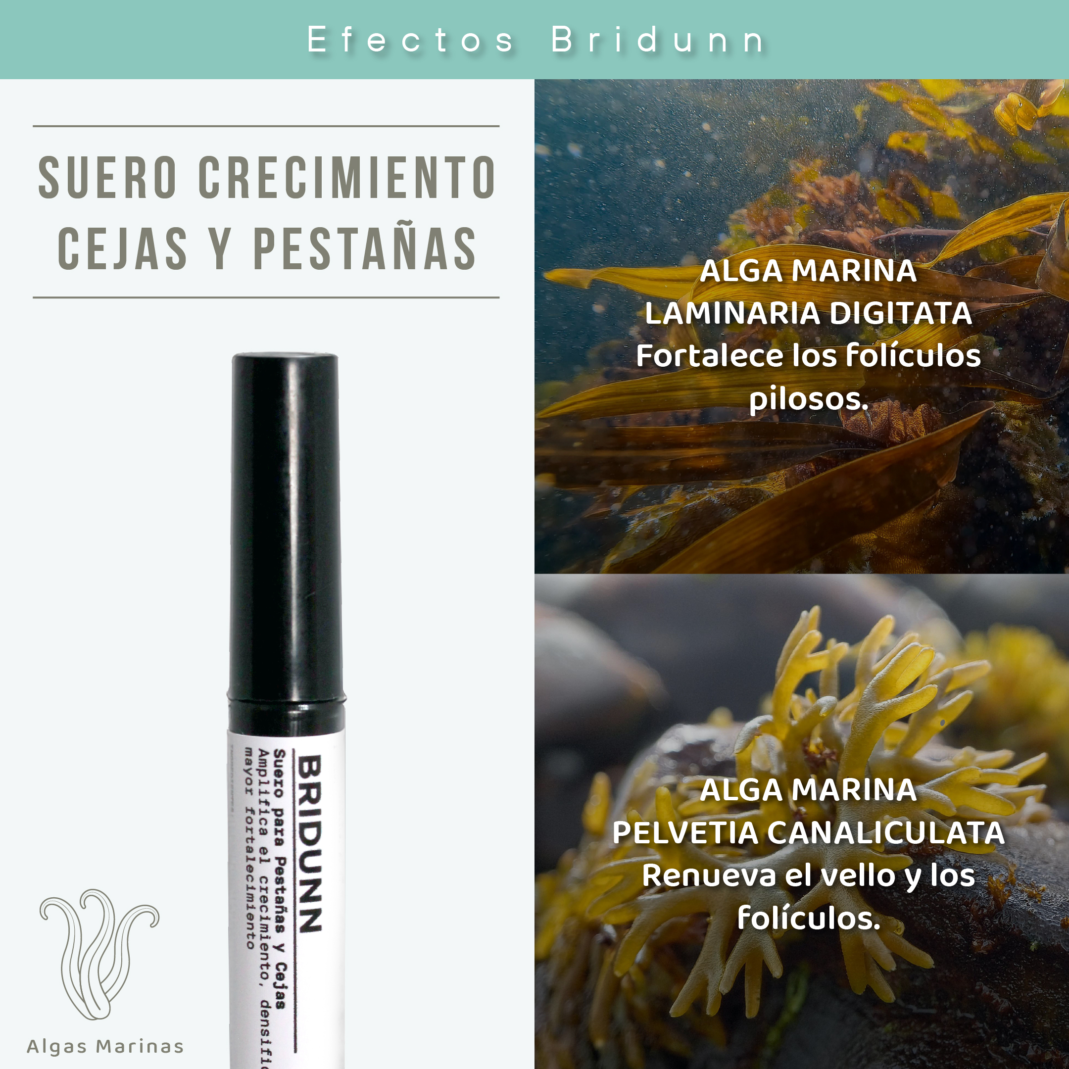 Serum Suero Pestañas y Cejas para Crecimiento y Fortalecimiento, con Proteinas y Activos Naturales.
