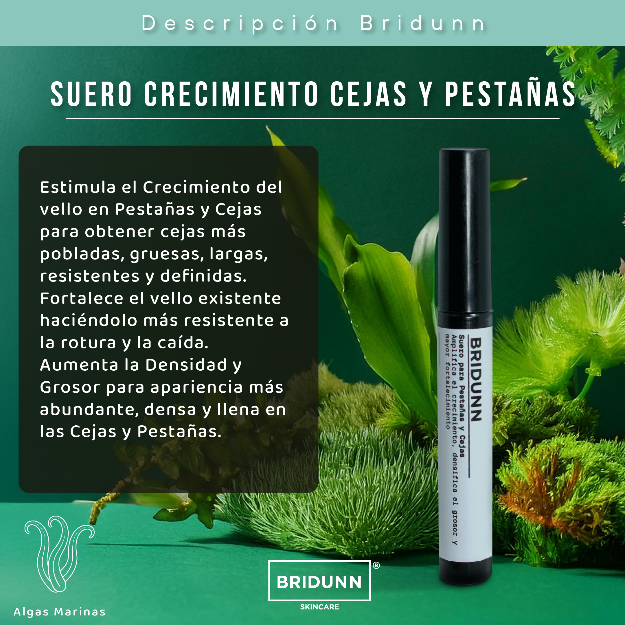 Serum Suero Pestañas y Cejas para Crecimiento y Fortalecimiento, con Proteinas y Activos Naturales.