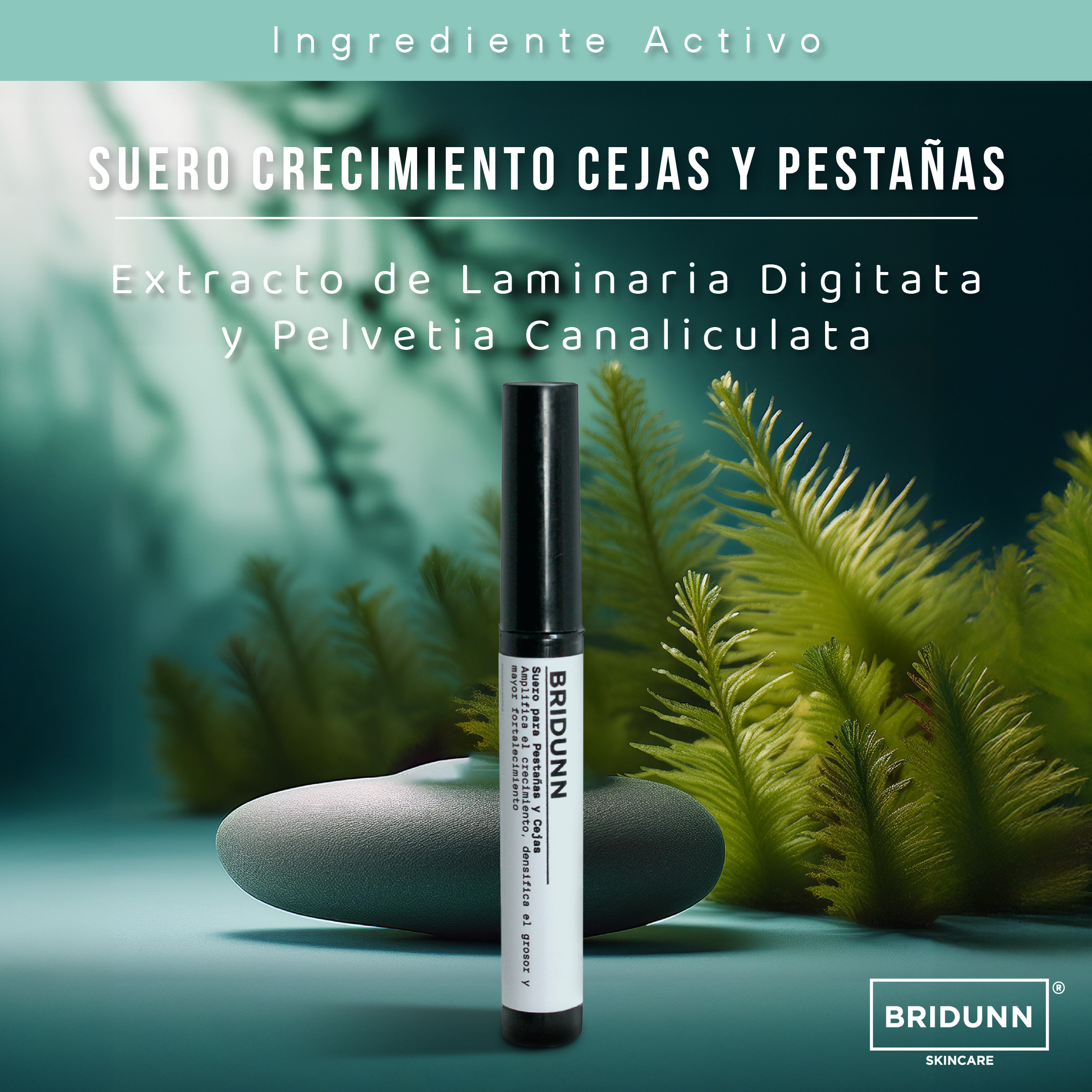 Serum Suero Pestañas y Cejas para Crecimiento y Fortalecimiento, con Proteinas y Activos Naturales.
