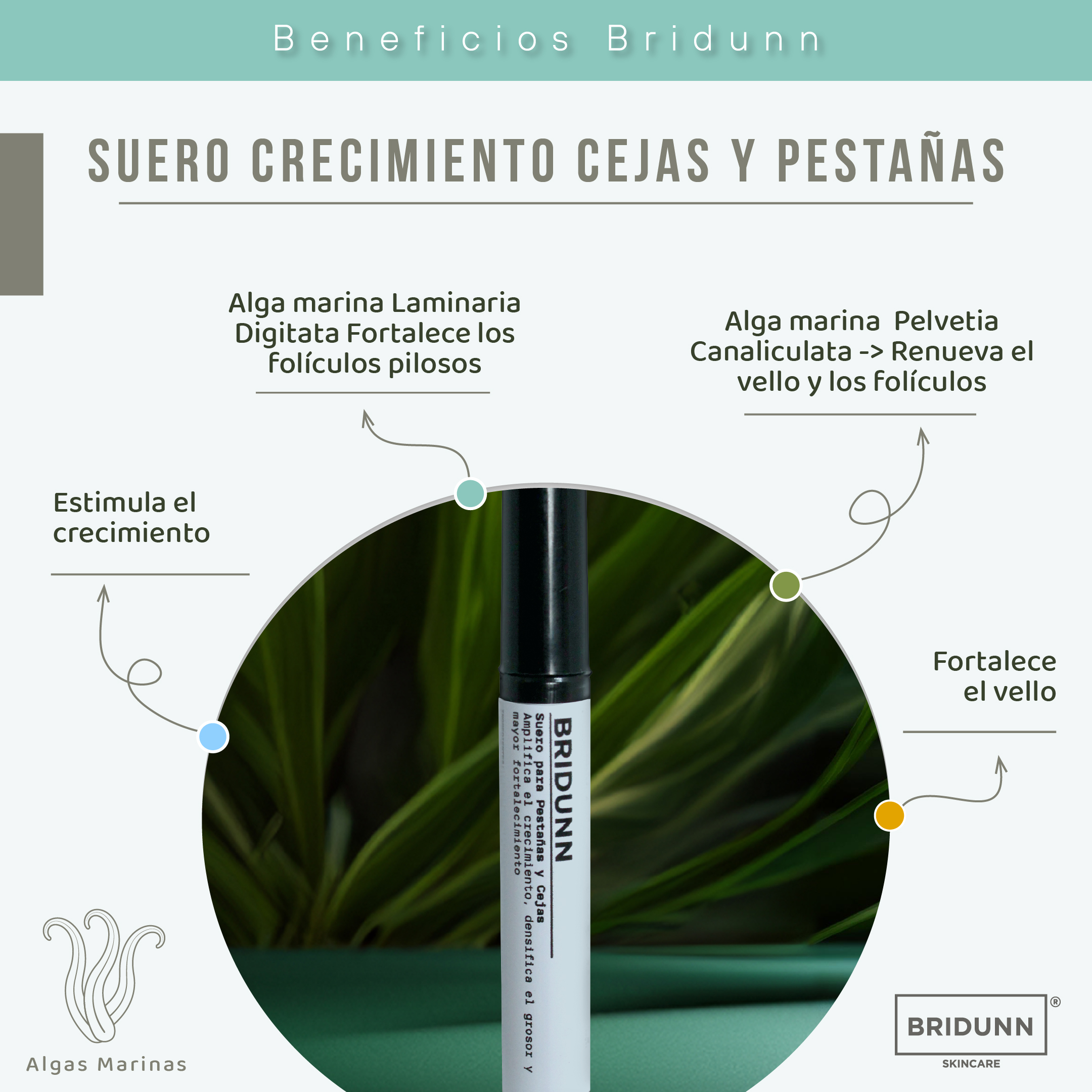 Serum Suero Pestañas y Cejas para Crecimiento y Fortalecimiento, con Proteinas y Activos Naturales.