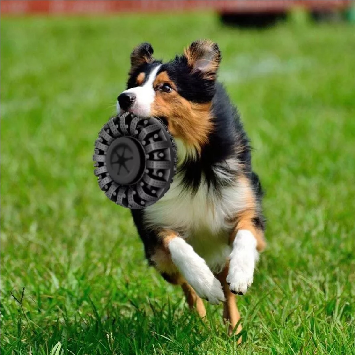 Juguete Para Perro Mordibles Grandes Neumáticos Goma