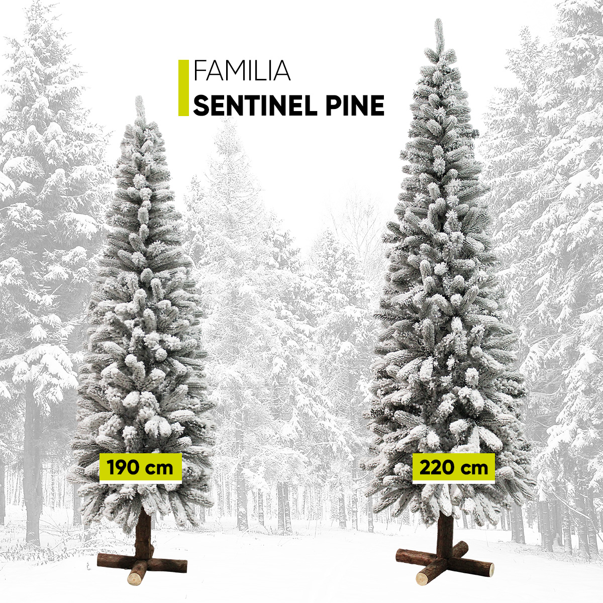 Árbol De Navidad Nevado Sentinel pine Slim tipo lápiz Ramas Premium Pino Navideño 220 Cm De Alto con base de madera real y maleta transportadora Artego