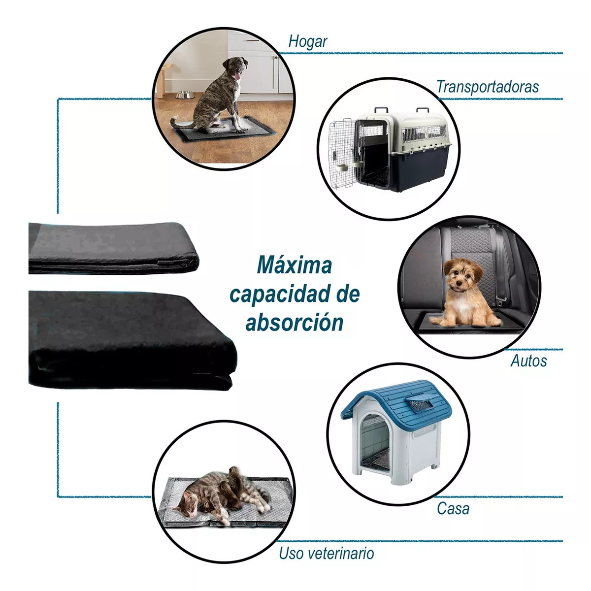 Set 14 Pz Tapete Entrenador Para Perro Pañal Absorbente 60x60cm